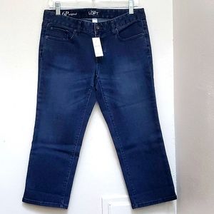 Blue Demin Jeans Ann Taylor LOFT Blue Denim Jeans Size 6P